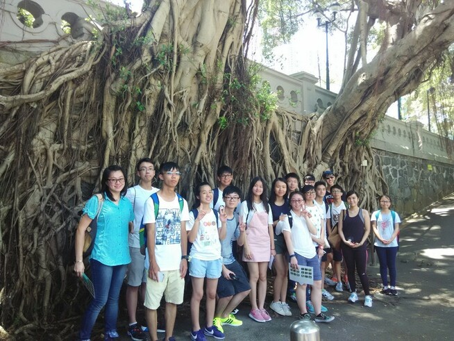 同學正在佐治五世紀念公園考察石牆樹。