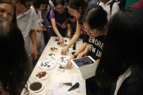 Participants took the opportunity to take photos of precious herbs. 