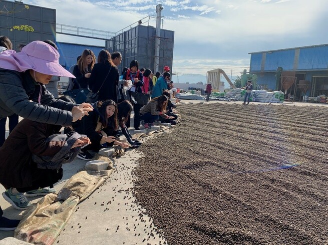 参观肇庆芡实种植及加工基地