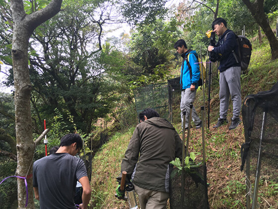 researchers are examining trees on a slope