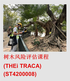 TRACA_ST4200008_SC_1