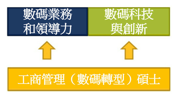 programme structure