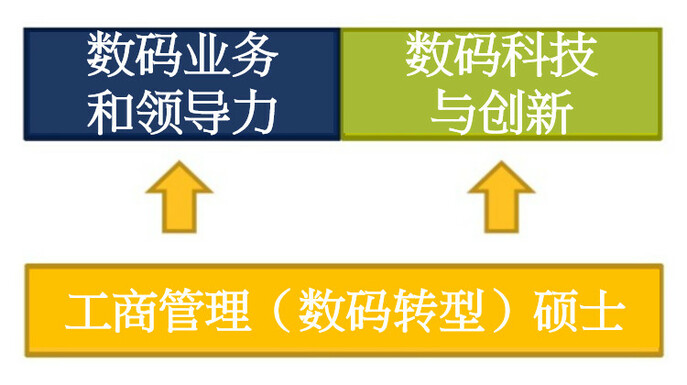 programme structure